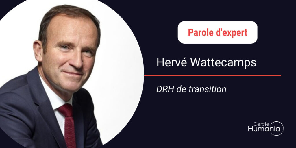 Témoignage DRH de transition - Hervé Wattecamps
